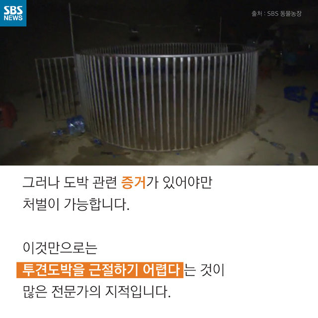 메인이미지  10 : 