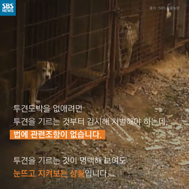 메인이미지  11 : 