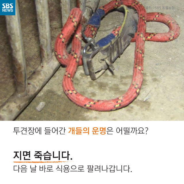 메인이미지  12 : 