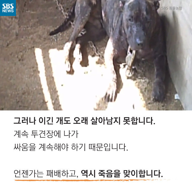 메인이미지  13 : 