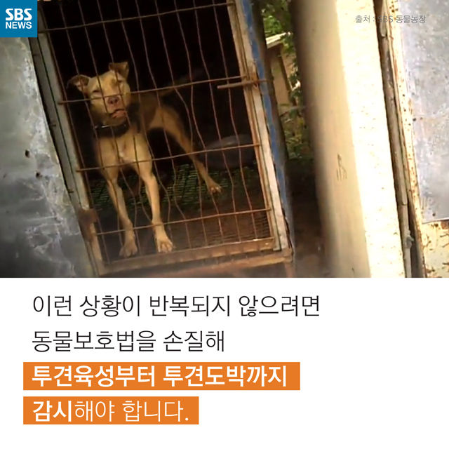 메인이미지  14 : 