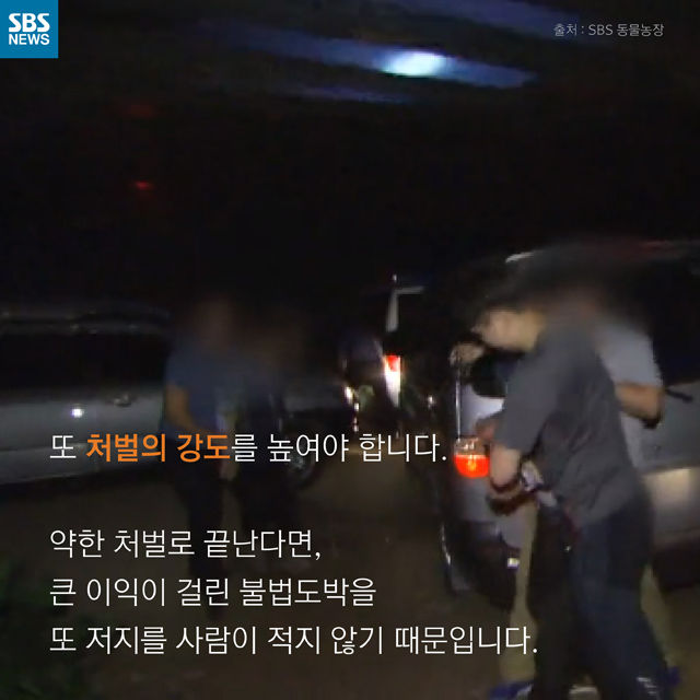 메인이미지  15 : 