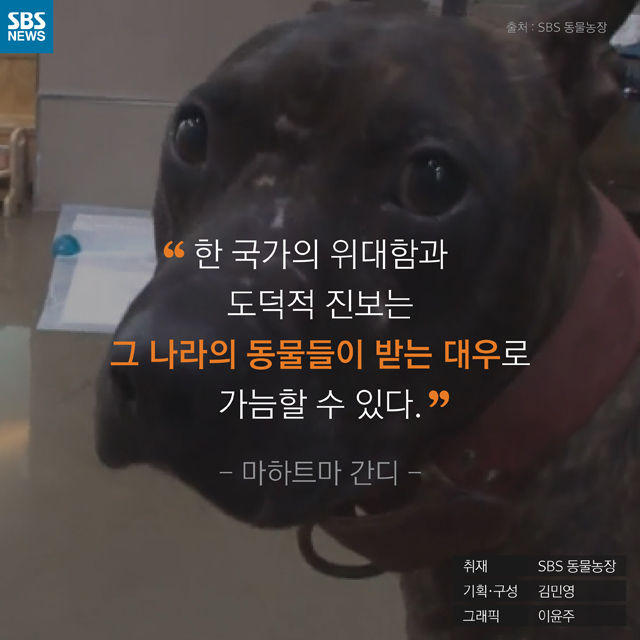 메인이미지  16 : 