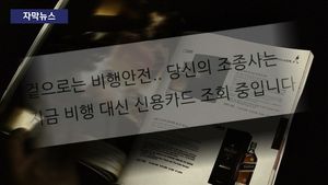 [자막뉴스] 조종사 비행 중에 카드 조회&hellip;위험한 비행