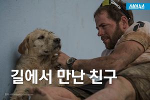길에서 만난 친구&hellip;유기견과 함께한 트래킹