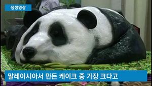 [생생영상] 판다의 생일선물은? 거대한 '판다 케이크'