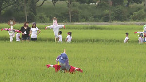 [수도권] 용인 들녘에 알록달록 허수아비 설치