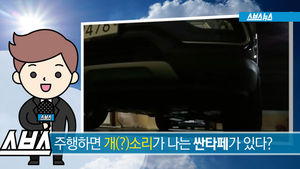 개소리 나는 싼타페