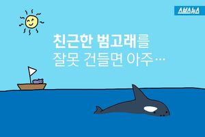 '친근한 범고래'?&hellip;상어보다 무서운 4가지 이유