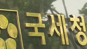 '10억 이하' 전세자금도 세무조사 대상 포함
