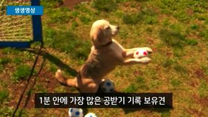 [생생영상] 2016 기네스북 출간&hellip;살펴보니 입이 '쩍'