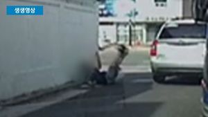 [생생영상] 지나가는 차에 엉덩이 '쑥'&hellip;운전자 노린 보험사기범