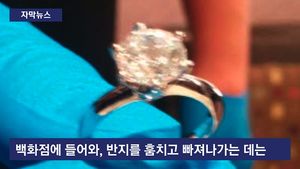 [자막뉴스] 영화 같은 다이아몬드 절도 사건&hellip;용의자 '덜미'