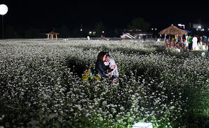 [슬라이드 포토] 메밀꽃 필 무렵&hellip;가을의 낭만