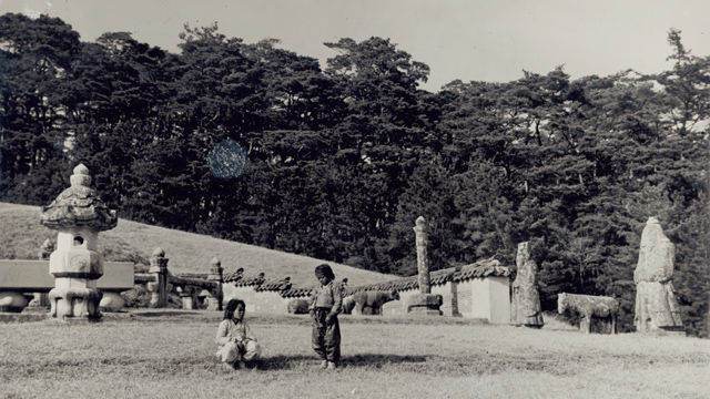 메인이미지  7 : (사진=김영자 레겐스부르크대학 박사 제공)