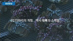 [생생영상] 대륙의 '게찜'&hellip;이 정도는 한 번에 쪄야