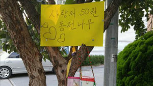 감동 전한 홍성 '50원 동전 나무'&hellip;저금통 2개로 늘어
