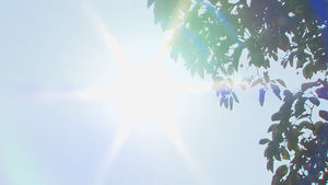 [취재파일] 주간 기상 전망 : 반짝 초여름, 물안개 즐기세요