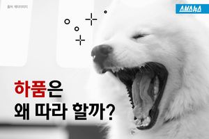 하품도 전염된다?&hellip;인간의 놀라운 공감능력