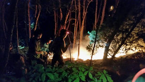 대전 식장산 자락서 산불&hellip;0.5㏊ 태우고 진화