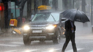 [취재파일] 태풍이 몰고 온 20일 만의 단비…해갈에는 미흡