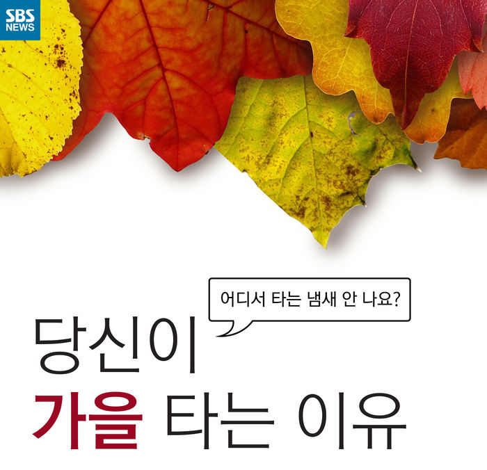 메인이미지  1 : 