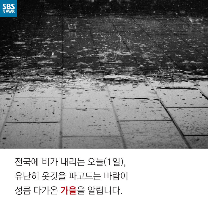 메인이미지  2 : 