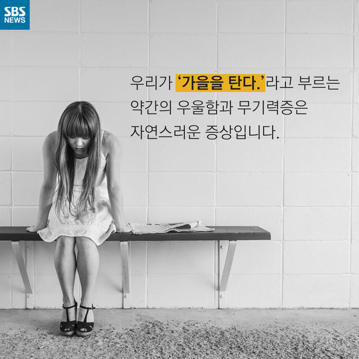 메인이미지  4 : 