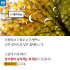 섬네일이미지  5: