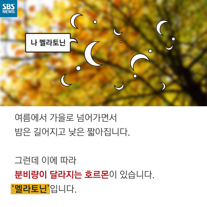 메인이미지  5 : 