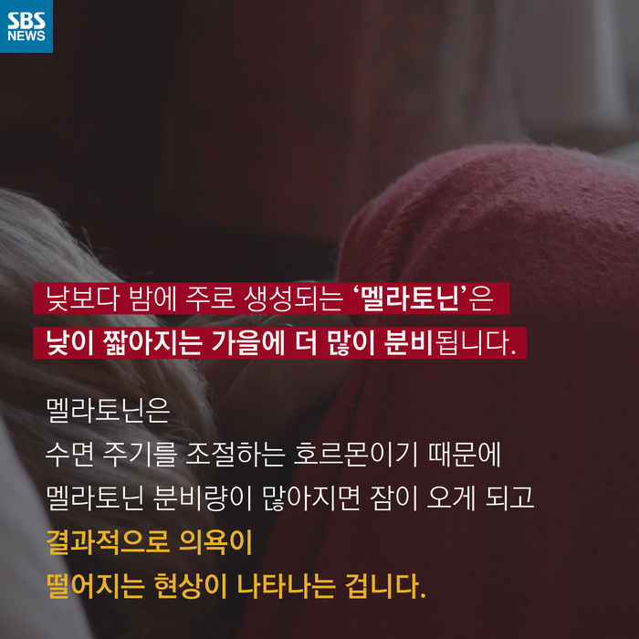 메인이미지  6 : 