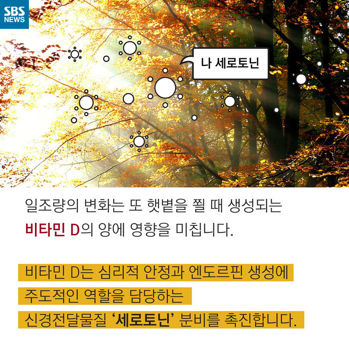 메인이미지  7 : 