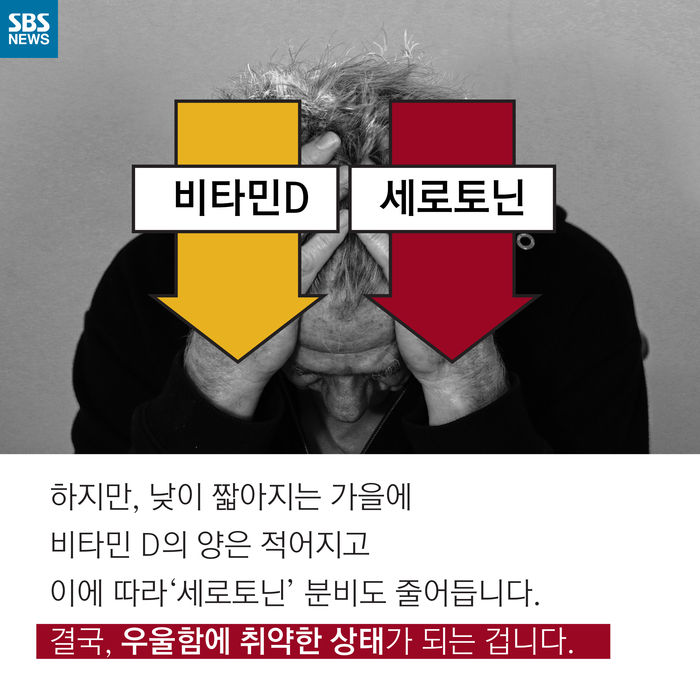 메인이미지  8 : 