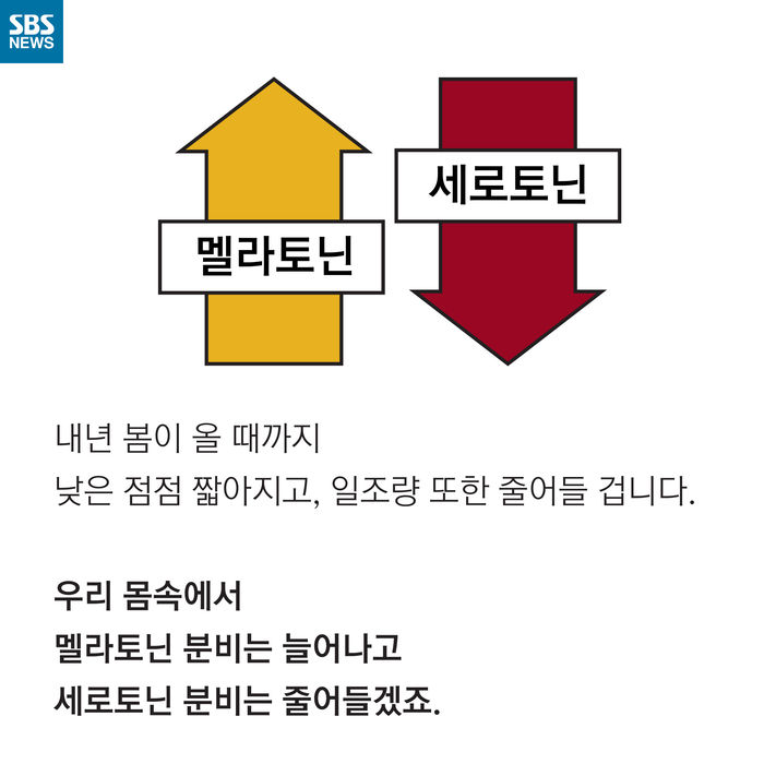 메인이미지  9 : 