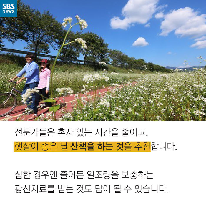 메인이미지  12 : 