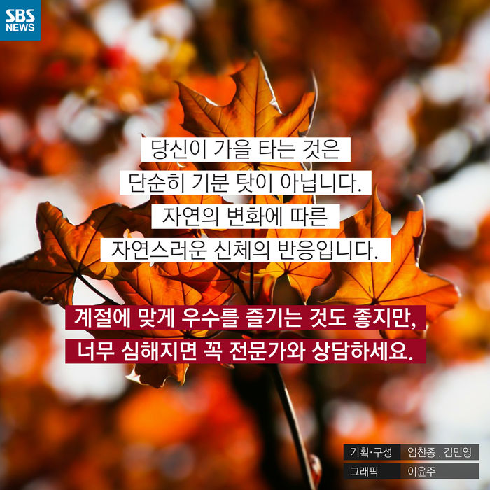 메인이미지  13 : 