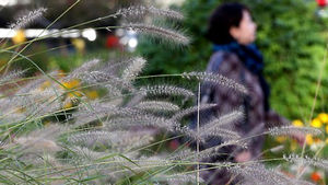 [취재파일] 비, 바람, 천둥, 번개에 공기는 쌀쌀…변덕 심한 연휴 날씨