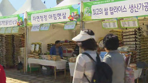 [청주] 충북 도내 곳곳서 각종 축제 개막