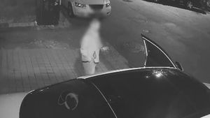 대리 불러놓고 차에서 '깜빡'&hellip;탈탈 털린 자동차