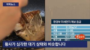 [자막뉴스] 집에서 튀김 요리하면 실내 오염도 '황사' 수준