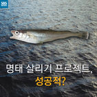 섬네일이미지  1: