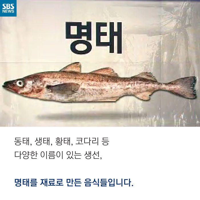 메인이미지  3 : 