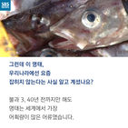 섬네일이미지  4: