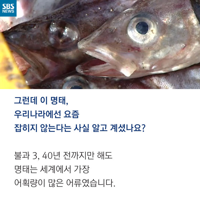 메인이미지  4 : 