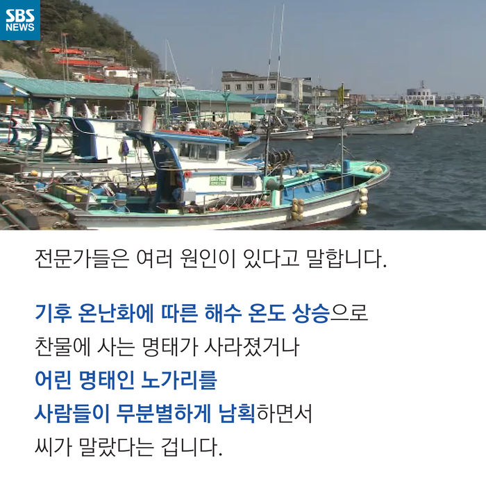 메인이미지  6 : 
