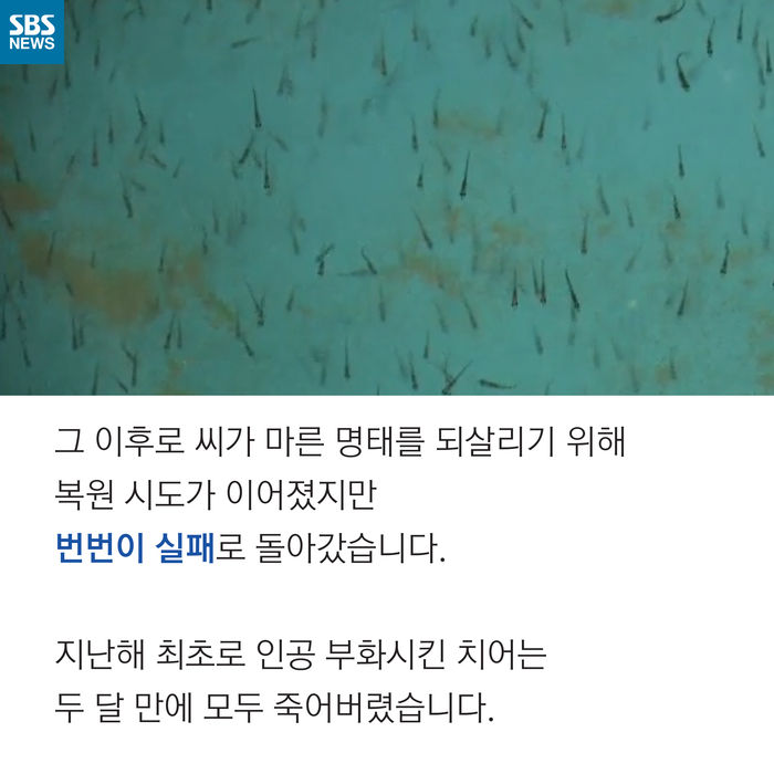 메인이미지  7 : 