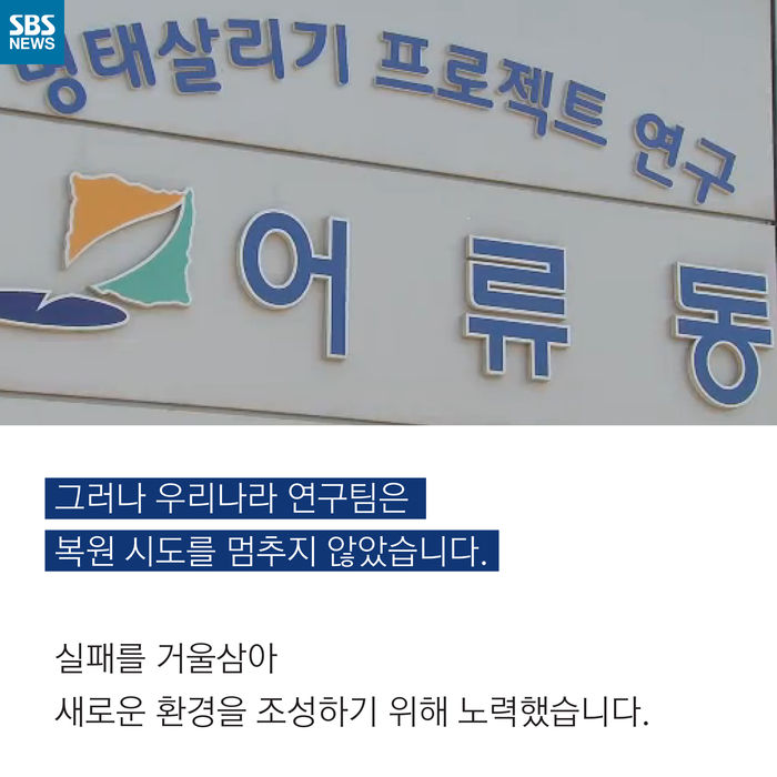 메인이미지  8 : 