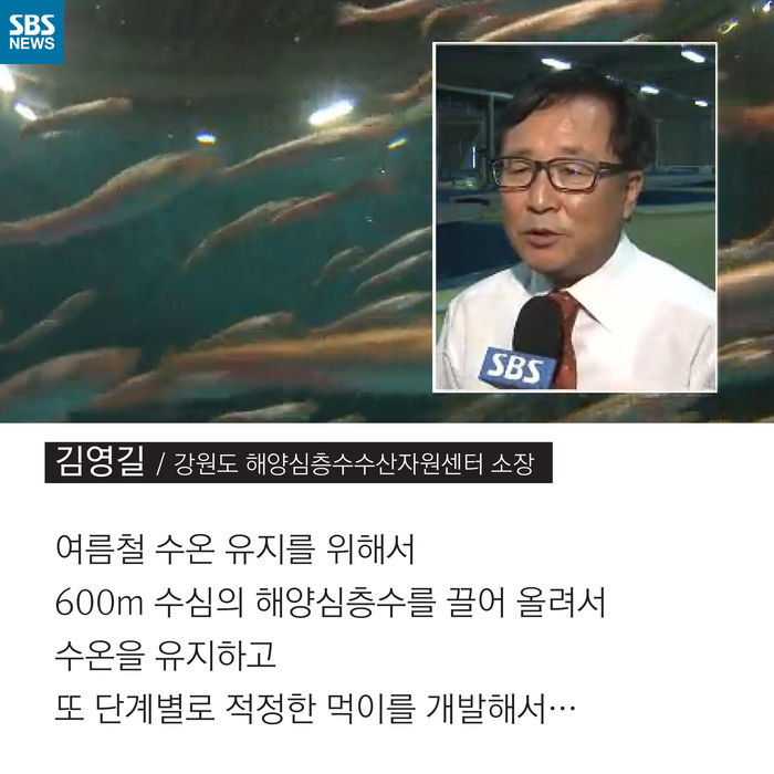 메인이미지  9 : 