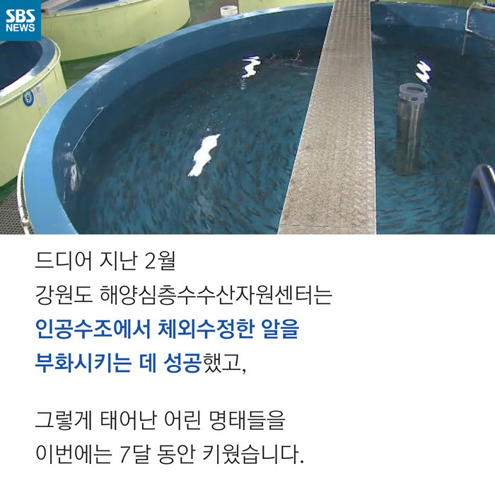 메인이미지  10 : 