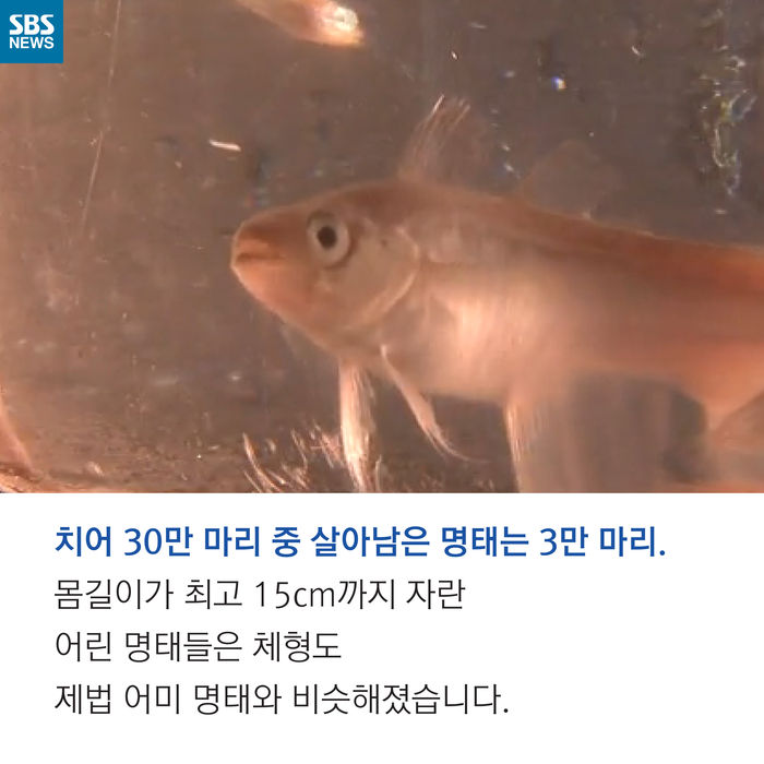 메인이미지  11 : 